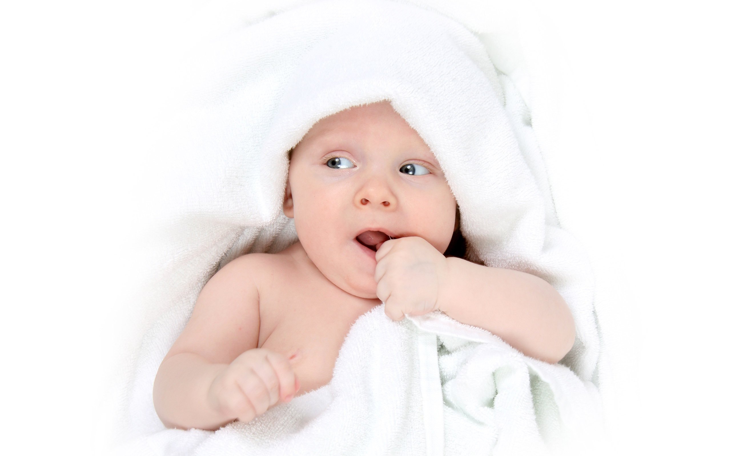 捐卵联系方式供精试管婴儿成功率是多少